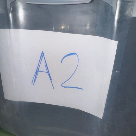 🔥MR. SWIM
Lemon Stripe Print Boardshorts In Magenta - Picture 3 of 3